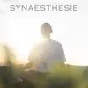 dustin-22 - SYNAESTHESIE EP